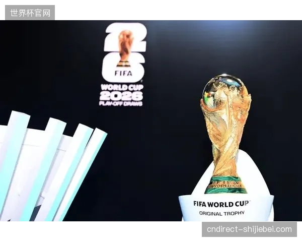 FIFA技术服务条款为何未能有效缓解多层代理下的票务执行混乱